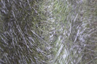 Earl Sterndale fibreglass roof work